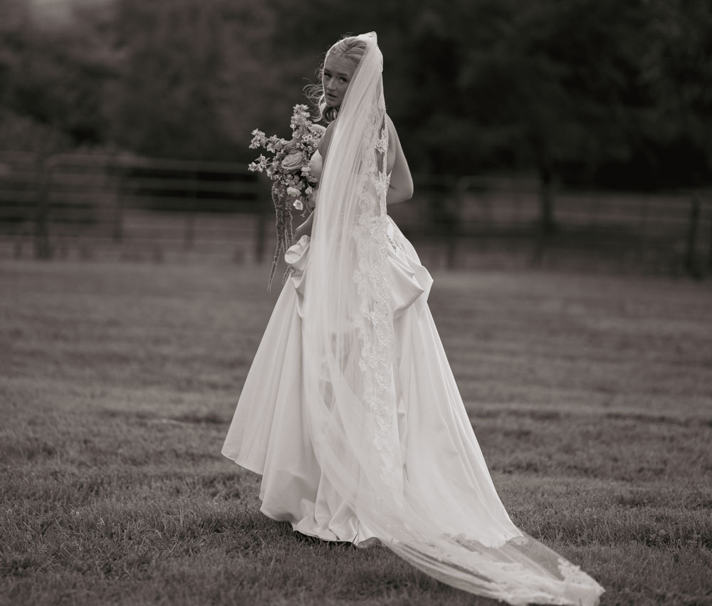 Wedding photo